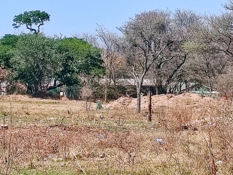 A view of a vacant residential plot featuring mature trees and natural vegetation, suitable for future development.