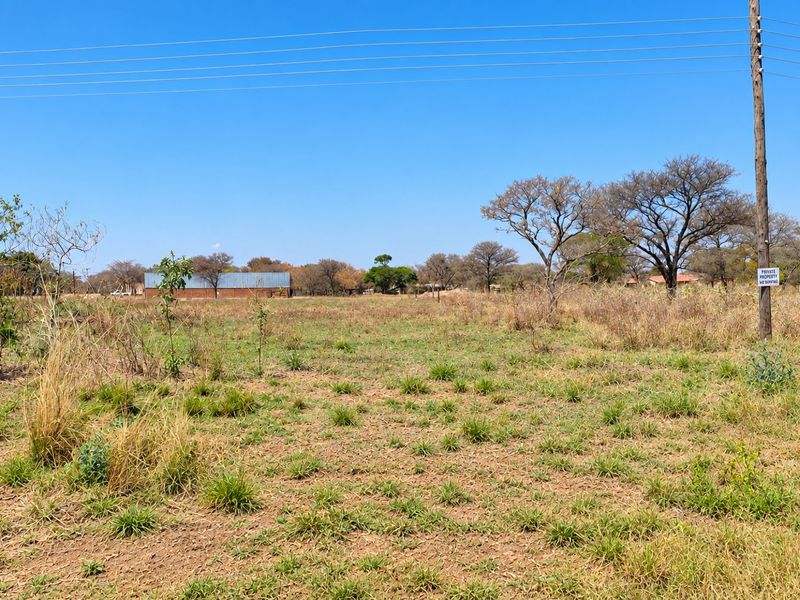 A view of a vacant residential plot featuring natural vegetation, a utility pole, and overhead power lines under a clear blue sky.