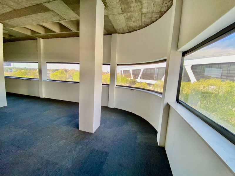Open-plan office space featuring a unique curved wall, exposed concrete waffle ceiling, and expansive ribbon windows providing ample natural light.