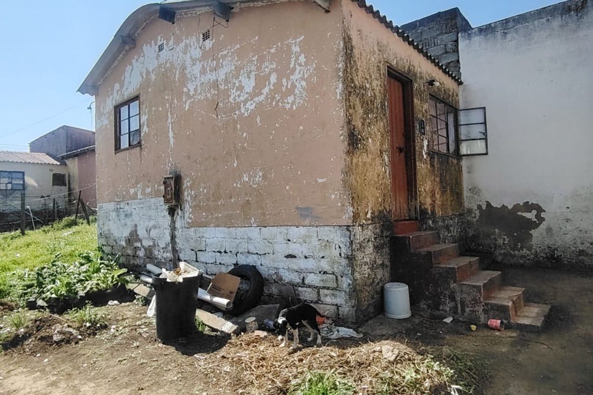 Rear view of a small detached dwelling showing significant exterior wear, peeling paint, and concrete steps requiring maintenance and restoration.
