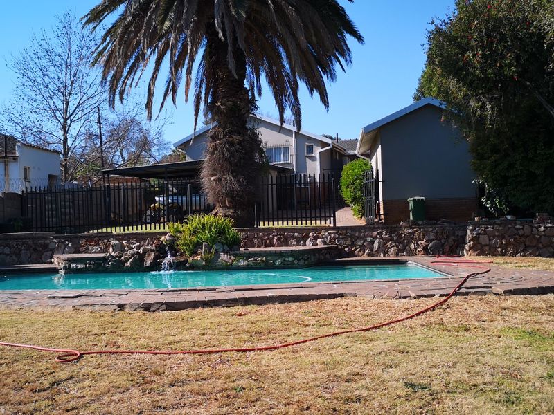 Outdoor pool area featuring a stone retaining wall, paved surround, and established palm tree within a fenced garden setting.