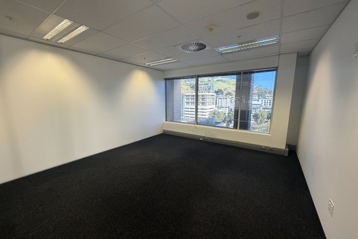 A bright, empty commercial office space featuring dark carpeting, a suspended ceiling with recessed lighting, and large windows offering an urban view.