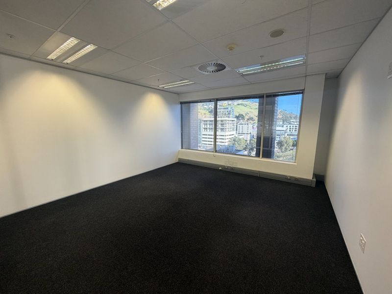 A bright, empty commercial office space featuring dark carpeting, a suspended ceiling with recessed lighting, and large windows offering an urban view.
