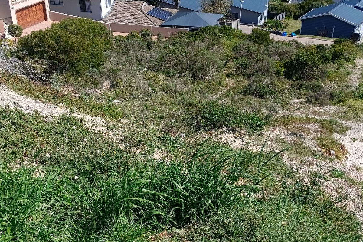 A sloped, undeveloped rear plot of land featuring natural vegetation and surrounding residential properties.