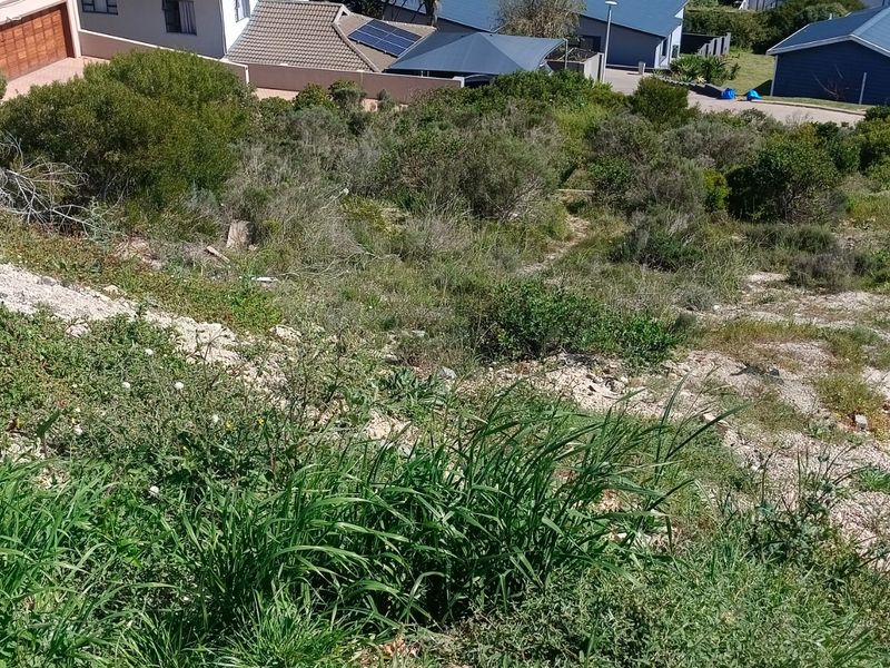A sloped, undeveloped rear plot of land featuring natural vegetation and surrounding residential properties.
