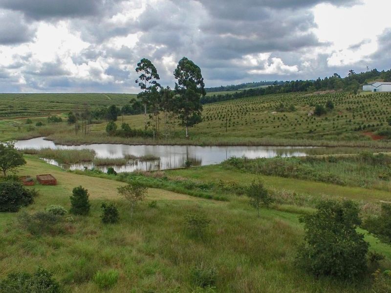A scenic view of a natural pond surrounded by rolling green hills and established trees under a cloudy sky.