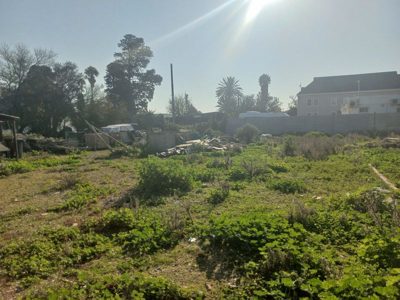 A vacant residential plot featuring overgrown vegetation, scattered debris, and a precast concrete boundary wall.