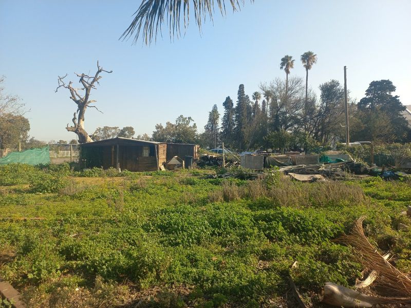 A vacant residential plot featuring overgrown vegetation, a dilapidated wooden shed, and mature trees, offering potential for future development or landscaping.