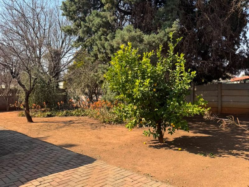 A spacious rear garden featuring established trees, a lemon tree, and brick-paved patio area enclosed by a precast concrete boundary wall.
