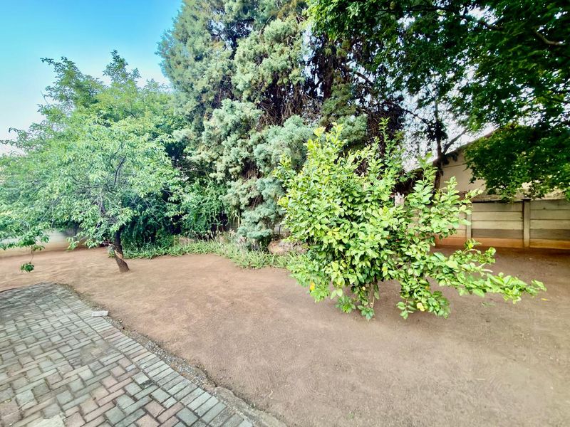 A spacious garden area featuring a paved walkway, mature trees, a citrus tree, and a secure precast concrete boundary wall.