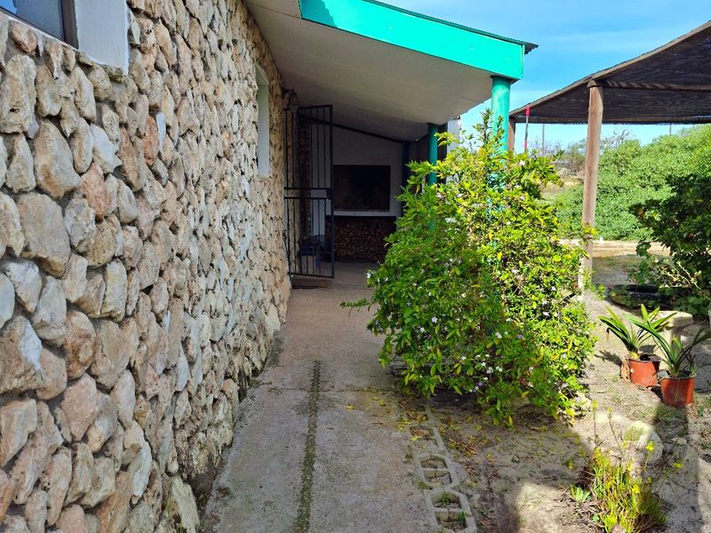 Rear exterior view featuring a stone-clad wall, a covered walkway with a metal roof, and a concrete pathway leading along the side of the house.