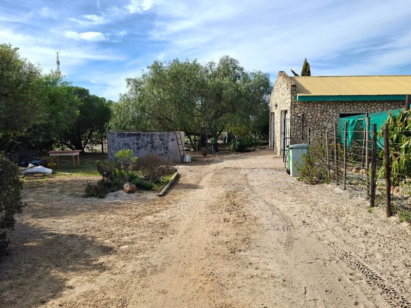 A rear exterior view of a stone-clad building with a corrugated metal roof, featuring a dirt driveway and surrounding garden area.