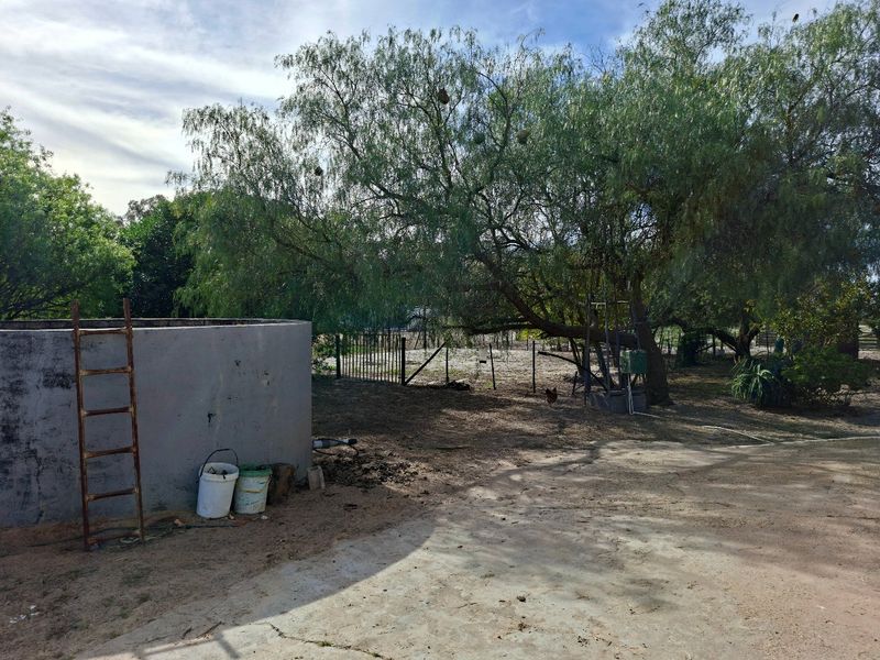 A spacious outdoor garden area featuring a large concrete water tank, mature trees, and perimeter metal fencing on a natural earth ground.
