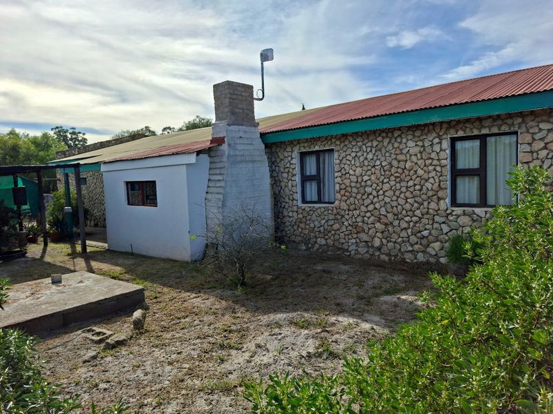 Rear view of a rustic stone-clad house featuring a prominent brick chimney, corrugated metal roofing, and aluminum-framed windows set in a natural garden area.