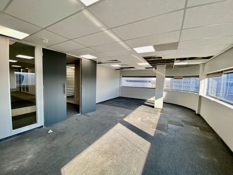 An empty commercial office space featuring large windows, carpeted flooring, and a suspended ceiling with some maintenance required.