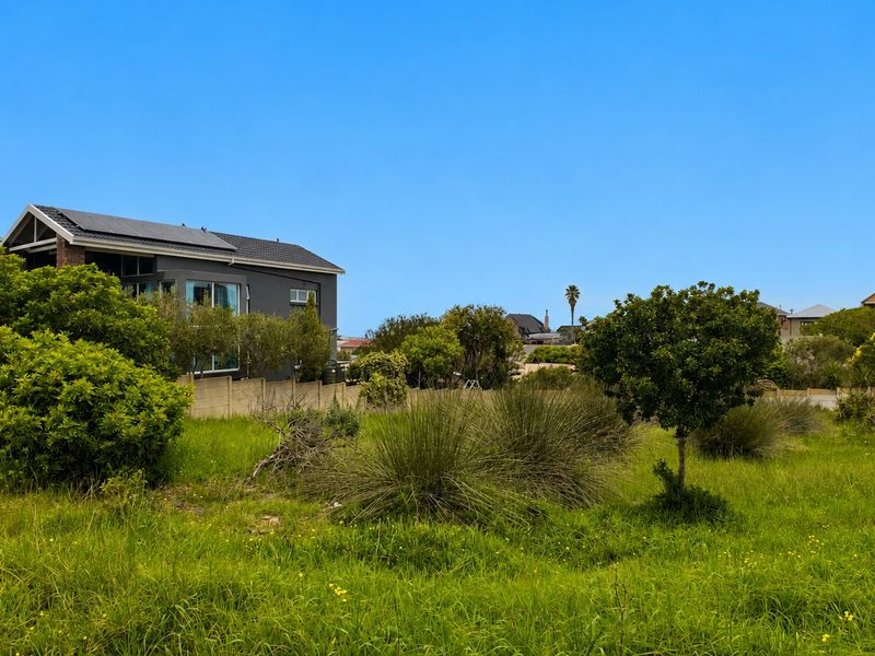 A view of a residential vacant plot featuring established trees, native vegetation, and a boundary wall, with neighboring properties visible in the background.