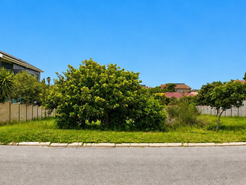 A vacant residential plot featuring a concrete boundary wall, established greenery, and street-level access in a developed neighborhood.