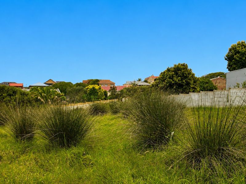 A view of a vacant residential plot featuring natural grass cover and a boundary wall, situated in a developed neighborhood.