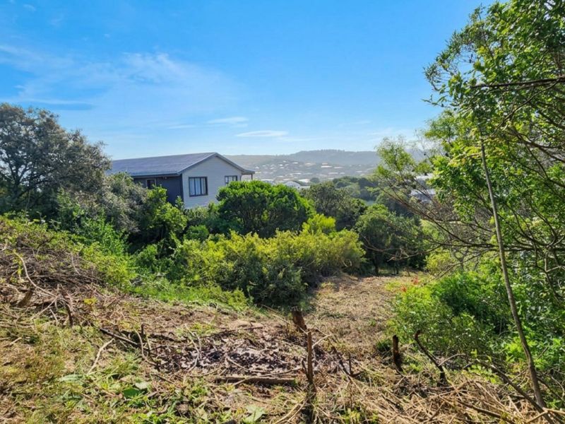 A view of the sloped residential land featuring natural vegetation and surrounding landscape scenery.