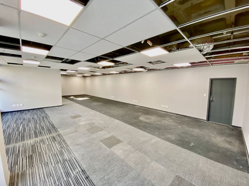 An empty commercial office space featuring a suspended ceiling with missing panels, recessed lighting, and carpeted flooring, ready for renovation or fit-out.