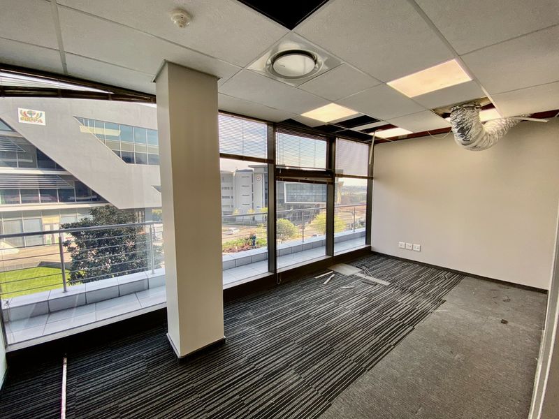 An empty commercial office space featuring large windows, carpet tiles, and a suspended ceiling with visible maintenance requirements.