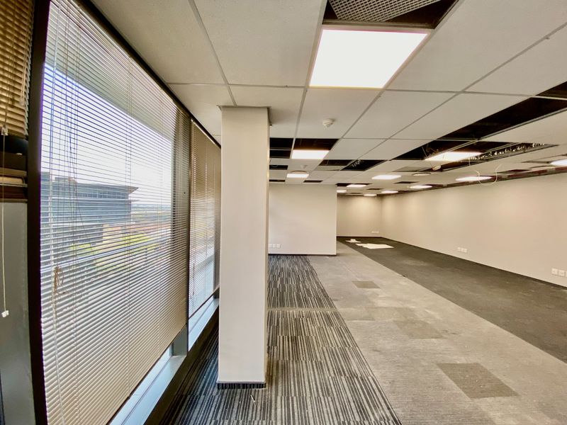 Open-plan commercial office space featuring large windows with blinds, carpeted flooring, and a suspended ceiling grid requiring maintenance.