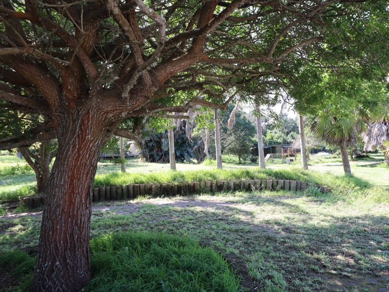 A spacious garden area featuring mature trees and a timber log retaining wall, offering a natural landscape setting on the farm property.