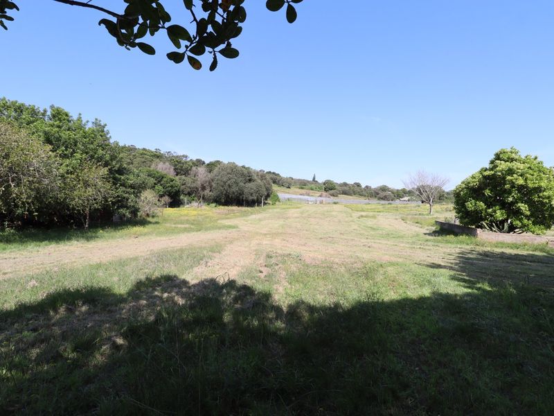 A wide-angle view of the expansive, open garden area featuring established trees and natural grassland on the farm property.