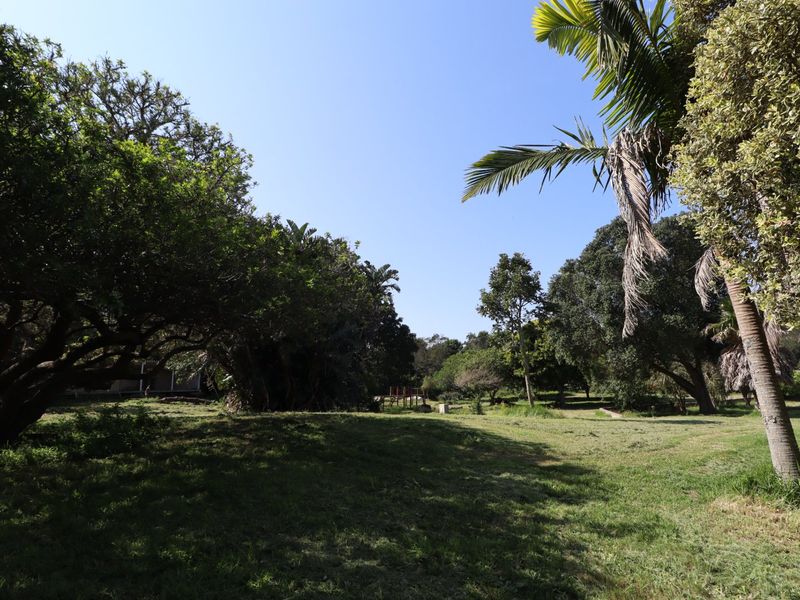 A spacious, well-established garden area featuring mature trees and expansive lawn space on the farm property.