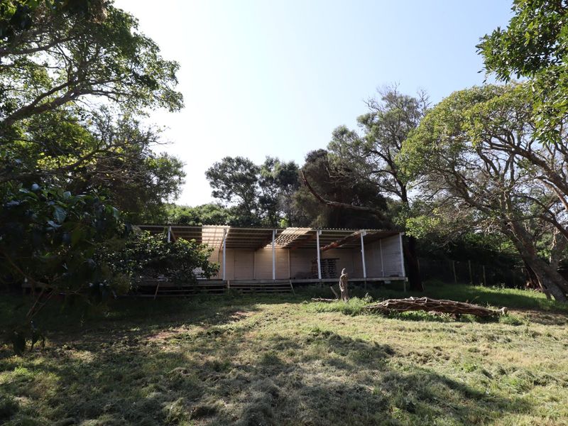 An unfinished timber structure set within a natural, wooded farm landscape, featuring an open-plan deck area under a corrugated roof.