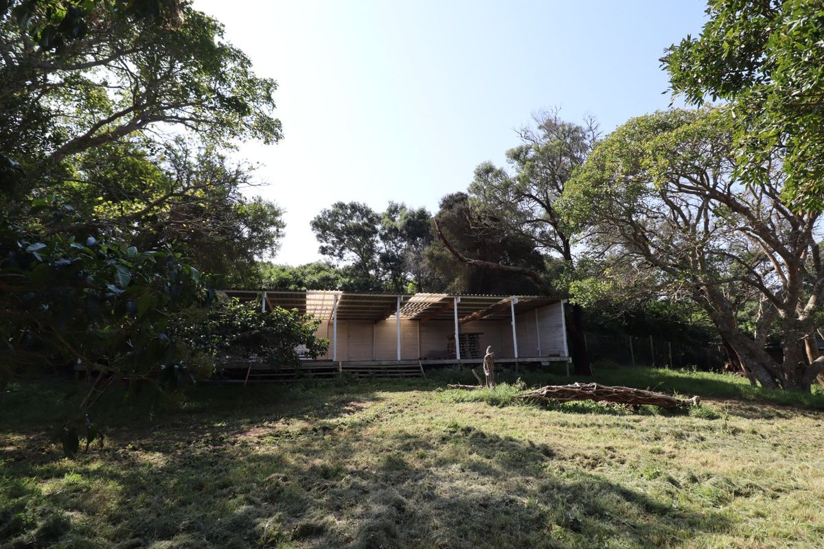 An unfinished timber structure set within a natural, wooded farm landscape, featuring an open-plan deck area under a corrugated roof.
