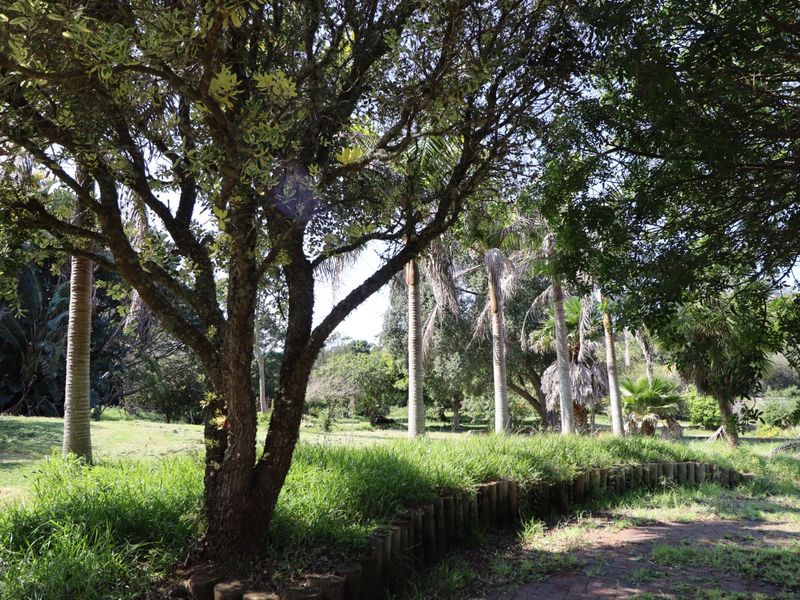 A lush, established garden area featuring mature trees, tall palm trees, and a rustic timber log border along the pathway.