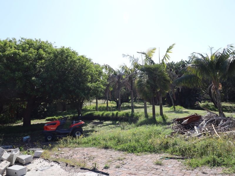 A large, overgrown garden area featuring mature trees, palm trees, and a brick-paved section, requiring landscaping and clearing.