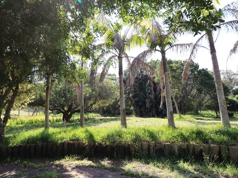 A lush, established garden area featuring mature palm trees, a timber log retaining border, and a paved walkway set within a farm landscape.