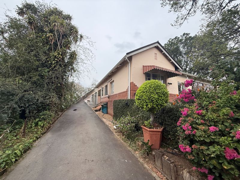 A view of the property's side elevation and long asphalt driveway, featuring a brick and plaster facade with established garden landscaping.