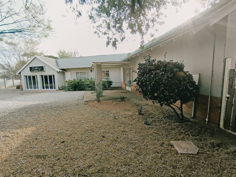 Front exterior view of the property featuring a gravel driveway, covered patio area, and tiled roof structure.