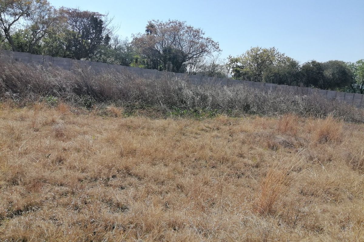 A view of the vacant residential land featuring dry grass, overgrown vegetation, and a perimeter wall boundary.