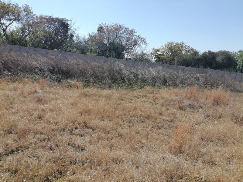 A view of the vacant residential land featuring dry grass, overgrown vegetation, and a perimeter wall boundary.