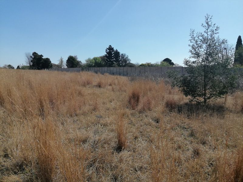 A vacant residential plot featuring dry grass, established trees, and a precast concrete boundary wall along the perimeter.