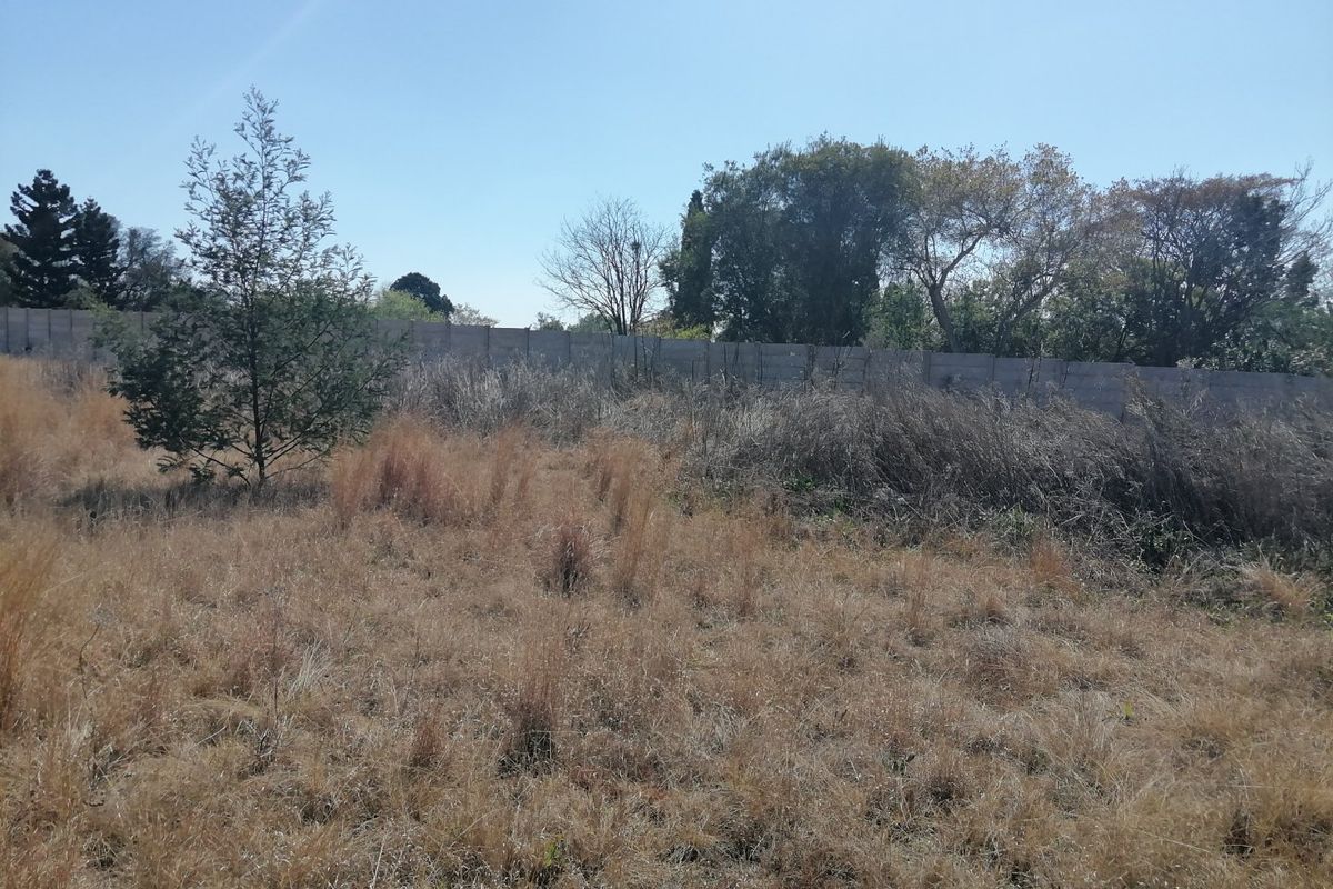 A vacant residential plot featuring dry grass, mature trees, and a perimeter boundary wall.