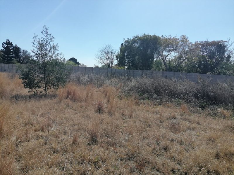 A vacant residential plot featuring dry grass, mature trees, and a perimeter boundary wall.