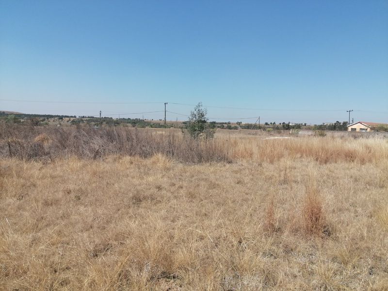 An expansive, undeveloped plot of dry grassland with distant power lines and sparse vegetation under a clear blue sky.