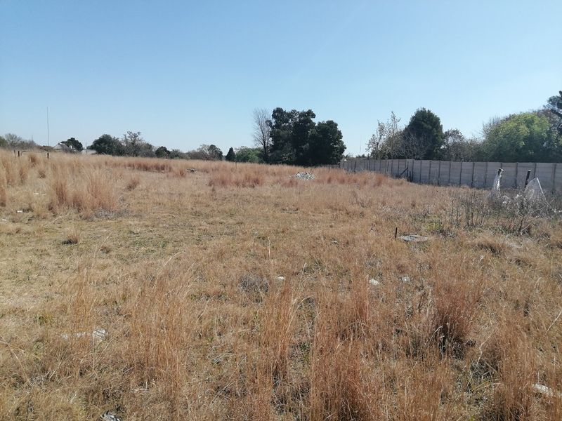 A vacant residential plot featuring dry grass and perimeter boundary walling, offering a blank canvas for future development.