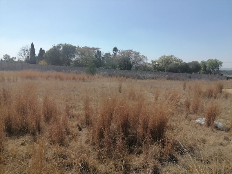 A vacant residential plot featuring dry grass and a perimeter boundary wall, offering a blank canvas for future development.
