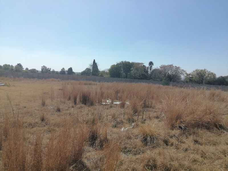 A view of a vacant residential plot featuring dry grass and a perimeter boundary wall.