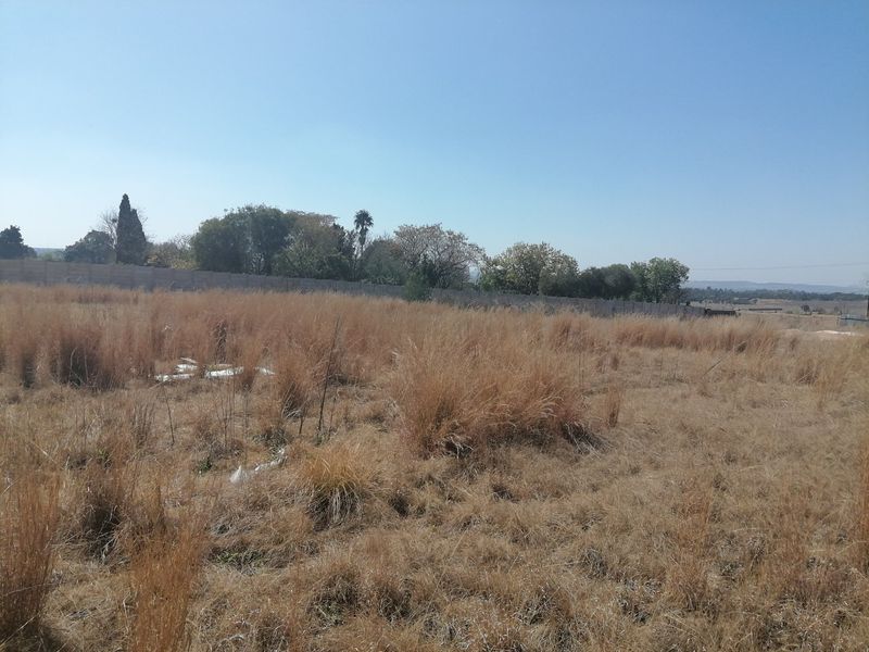 A large, undeveloped residential plot featuring dry, overgrown grass and a perimeter boundary wall with mature trees in the background.