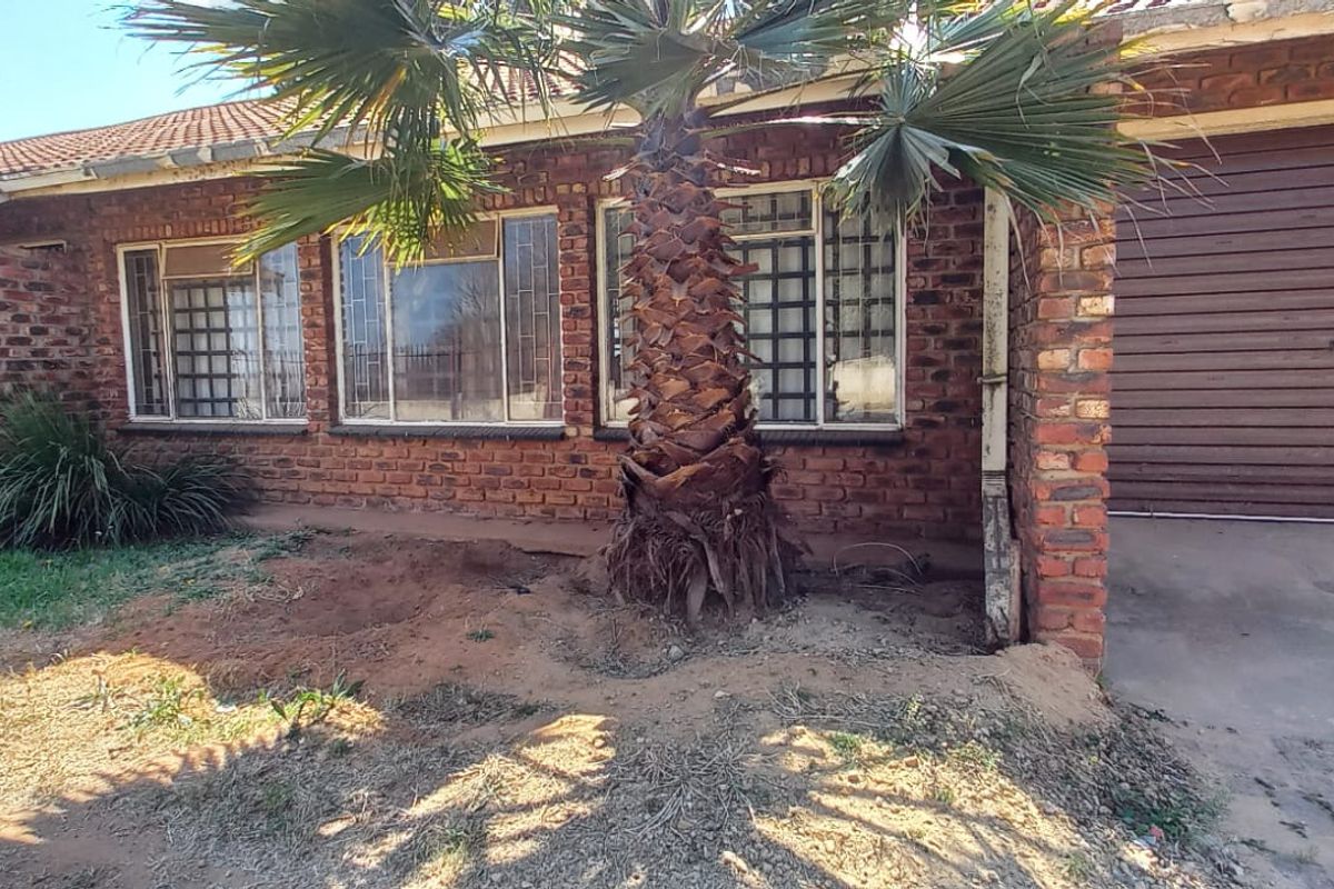 Front elevation of a face brick house featuring a roller garage door, security-barred windows, and an established palm tree in the front garden area.
