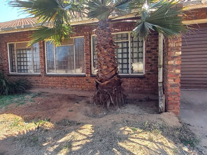 Front elevation of a face brick house featuring a roller garage door, security-barred windows, and an established palm tree in the front garden area.