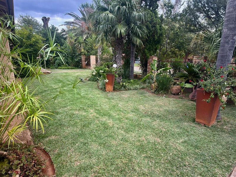 A well-maintained private garden featuring a lush green lawn, mature palm trees, and established landscaping enclosed by a brick boundary wall.