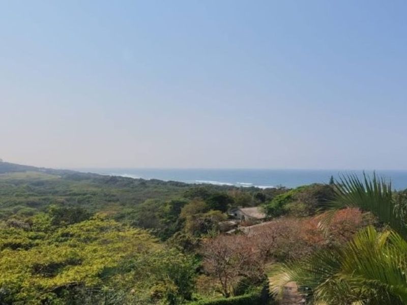A scenic elevated view overlooking lush coastal vegetation and the distant ocean horizon.